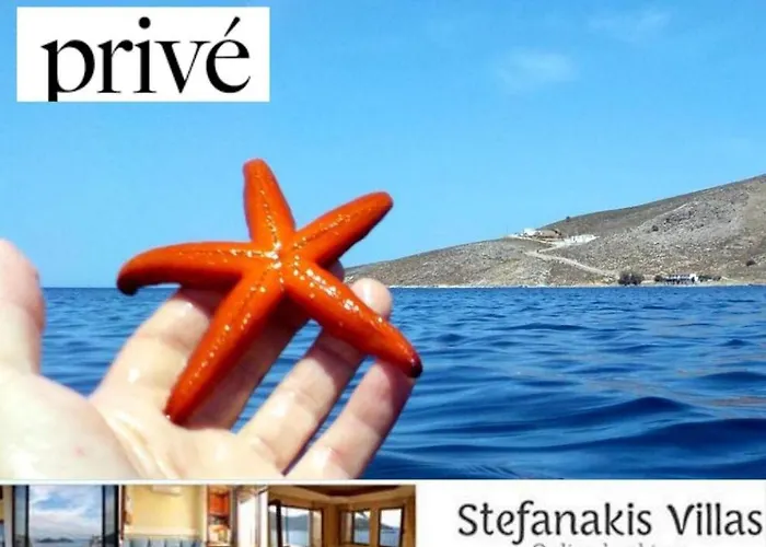 Stefanakis - Car Included